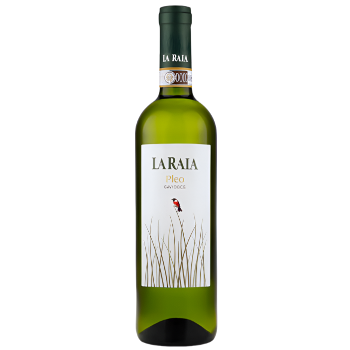 Gavi "Pleo" 2022